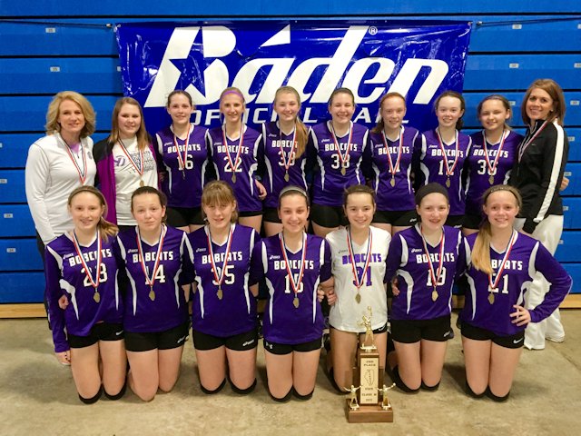 2015 Volleyball Class M 2nd Breese