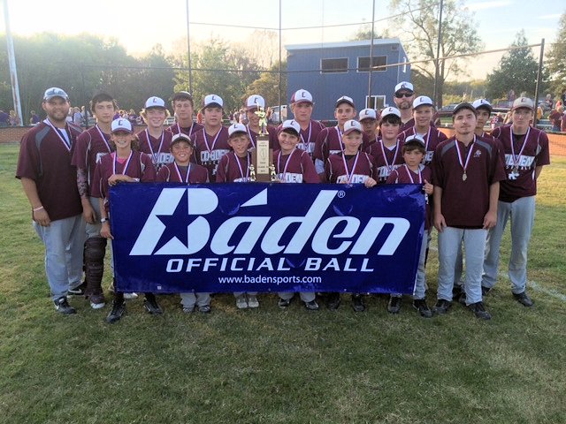 2015 Baseball Class M State Champions - Cobden